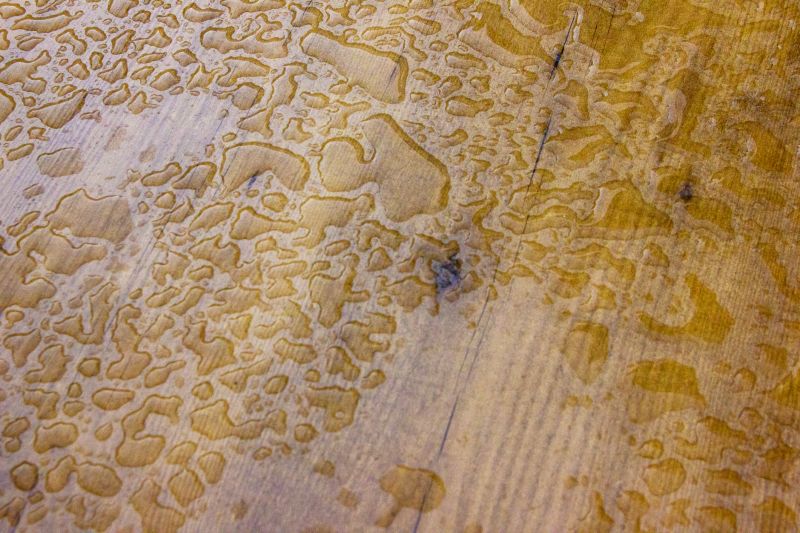 Deck Floor Repair in Redmond, WA